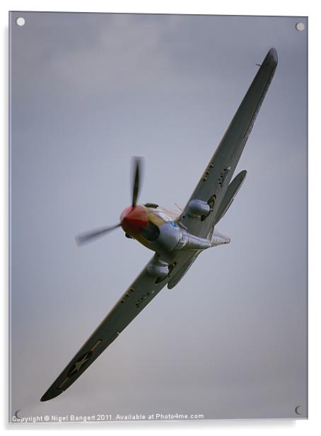 Curtis P-40 Warhawk Acrylic by Nigel Bangert