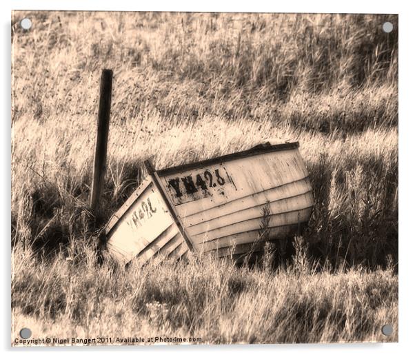 Sinking in the Grass Acrylic by Nigel Bangert