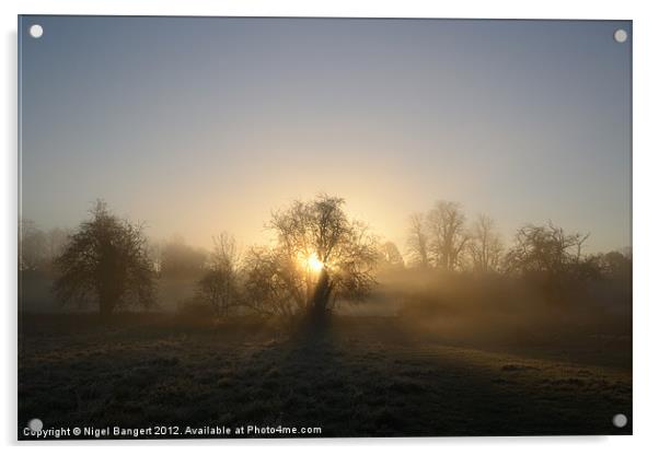 Misty Dawn Acrylic by Nigel Bangert