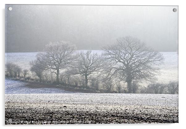 Snowscape Acrylic by Nigel Bangert