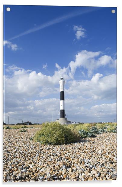 Dungeness Lighthouse Acrylic by Nigel Bangert