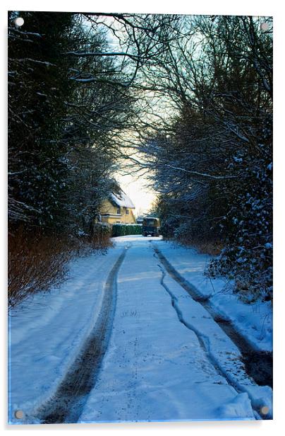 Essex Country Lane Acrylic by Nigel Bangert