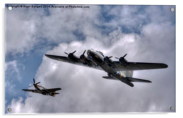  Sally B and Miss Velma Acrylic by Nigel Bangert