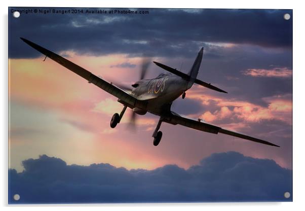  Spitfire Sunset Acrylic by Nigel Bangert