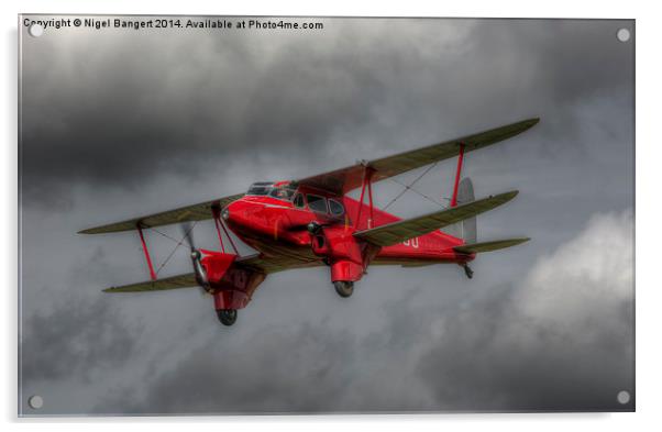 De Havilland DH.90 Dragonfly  Acrylic by Nigel Bangert