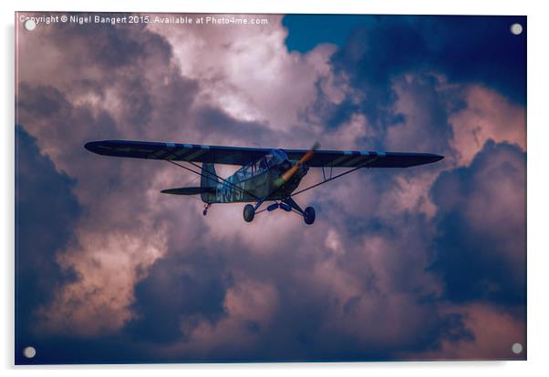  Piper Cub L4 Acrylic by Nigel Bangert