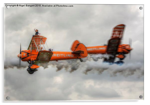  Breitling Stearman Wingwalkers Acrylic by Nigel Bangert