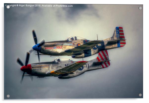  North American P-51 Mustangs Acrylic by Nigel Bangert