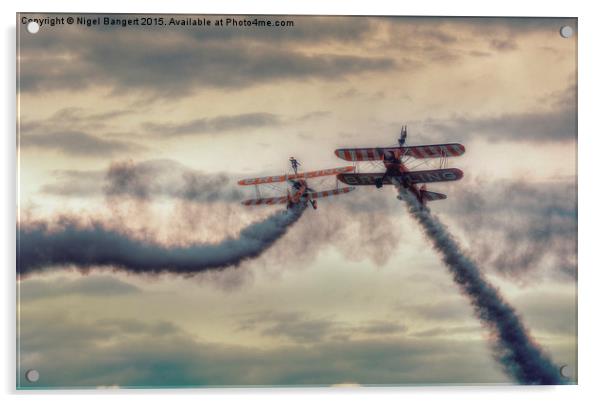  Breitling Stearman Wingwalkers Pass Acrylic by Nigel Bangert