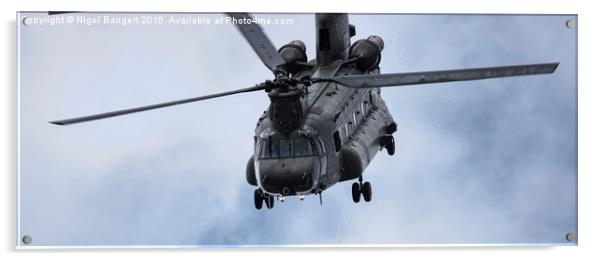  Chinook Helicopter Acrylic by Nigel Bangert