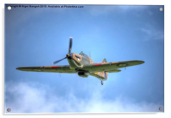  Hawker Hurricane Mk IIc LF363 Acrylic by Nigel Bangert