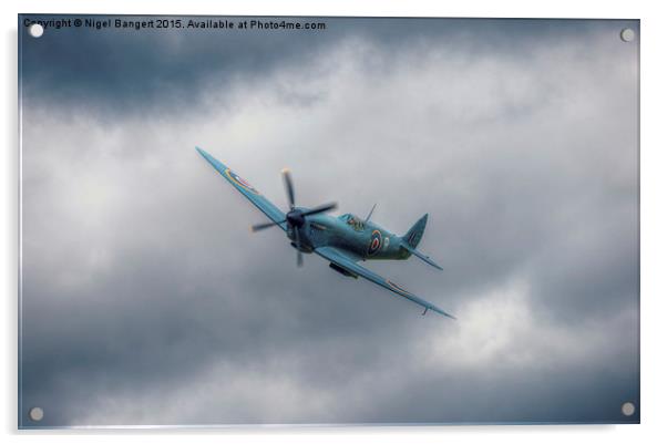  Reconnaissance Spitfire PL965R MkXI Acrylic by Nigel Bangert