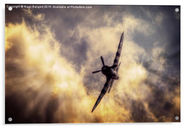  P47 Thunderbolt SNAFU Acrylic by Nigel Bangert