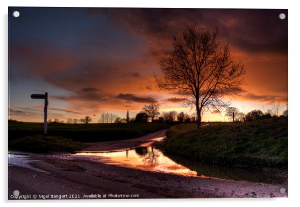 Farnham Sunset Acrylic by Nigel Bangert