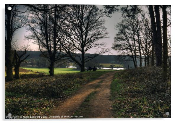 Panshanger Park Acrylic by Nigel Bangert