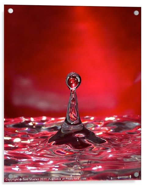 Ruby Ripples Acrylic by Tom Maslen