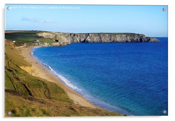 Pedngwinian Point, Lizard Peninsula Acrylic by Terri Waters