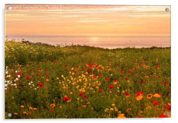 Warm Sunset at the Flower Fields Acrylic by Terri Waters