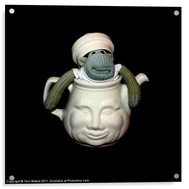 Monkey in a Tea Pot Acrylic by Terri Waters