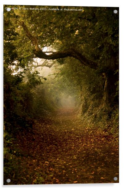 Autumn Tree Tunnel Acrylic by Terri Waters