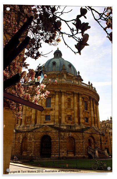 Radcliffe Camera Reading Rooms Oxford Acrylic by Terri Waters