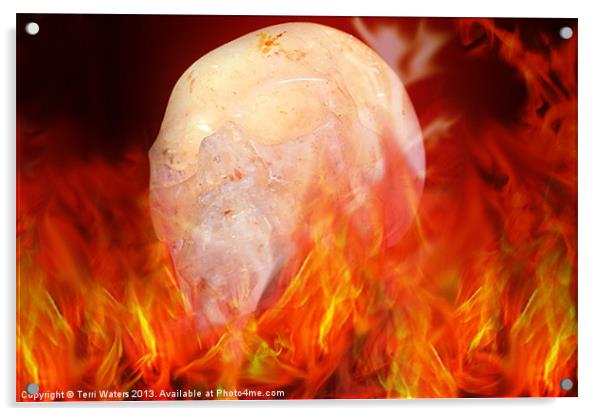 Flaming Crystal Skull Acrylic by Terri Waters