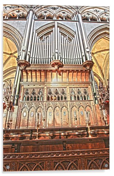 Salisbury Cathedral Organ  Acrylic by Terri Waters