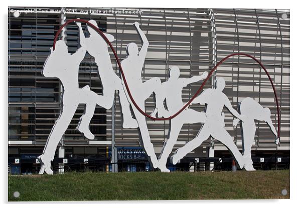  Cricket Art Sculpture Southampton Acrylic by Terri Waters