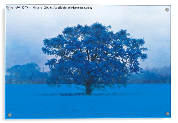Cold Tree In A Field Of Blue Acrylic by Terri Waters