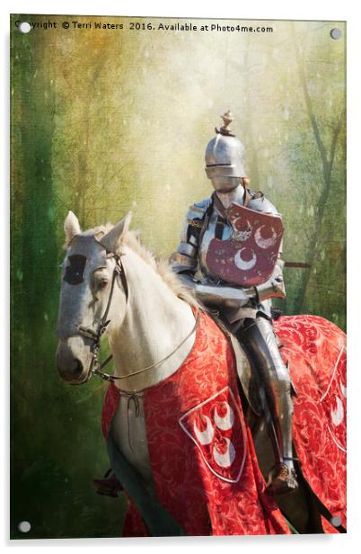 Red Knight Acrylic by Terri Waters