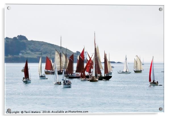 Falmouth Parade of Sail and Power Acrylic by Terri Waters