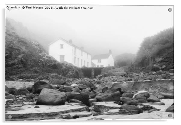 Kynance Cove In The Mist Acrylic by Terri Waters