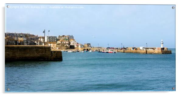 St Ives Harbour Acrylic by Terri Waters