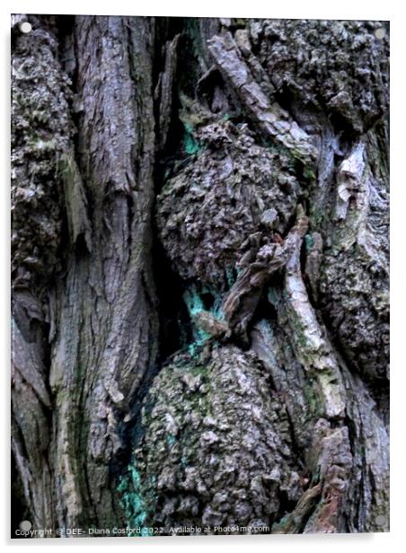 Gnarled, knurled but enduring! Acrylic by DEE- Diana Cosford
