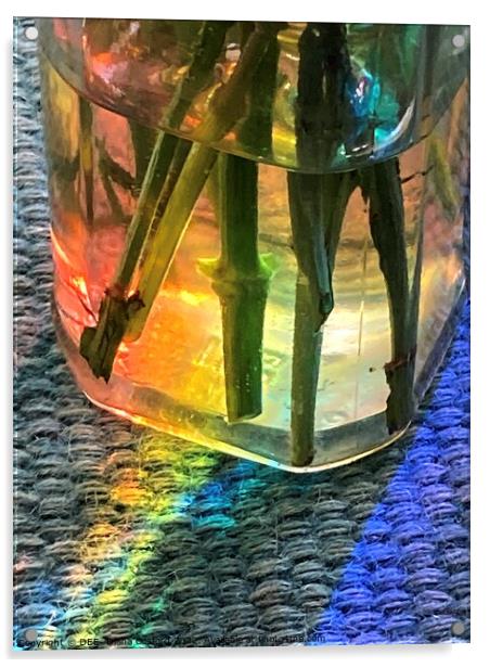 Prism through jam jar of flowers Acrylic by DEE- Diana Cosford