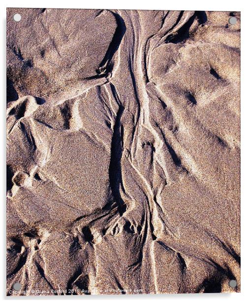 Naturally wrinkled forms in sand Acrylic by DEE- Diana Cosford