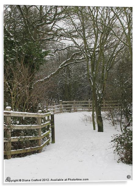 Walk in Cranfield Woods, Bedfordshire Acrylic by DEE- Diana Cosford