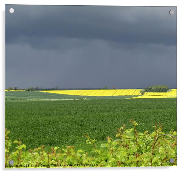 Rapeseed Oil Field Storm Yellow Acrylic by DEE- Diana Cosford