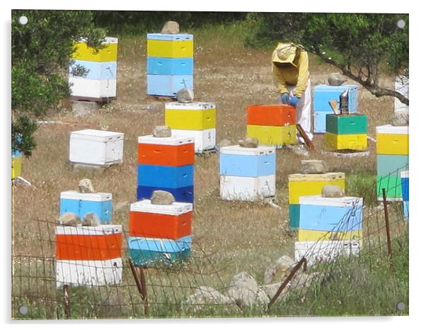 Colourful Greek Honey Hives Beekeeper Acrylic by DEE- Diana Cosford