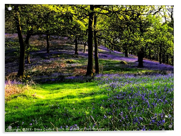 Bluebell Woods Cumbria, idyllic setting. Acrylic by DEE- Diana Cosford