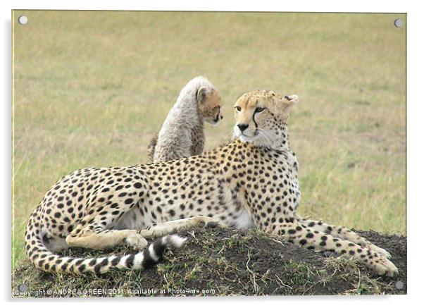 CHEETHA AND CUB ON THE MASAI MARA Acrylic by ANDREA GREEN