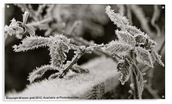 frozen bush Acrylic by karen grist