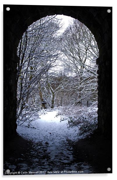 Winter Arch Acrylic by Colin Metcalf