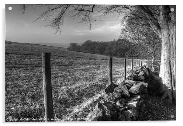 Chevin Dry Stone Wall #1 Mono Acrylic by Colin Metcalf