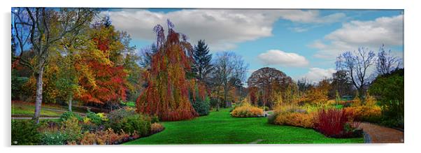 Autumn Panorama Acrylic by Colin Metcalf