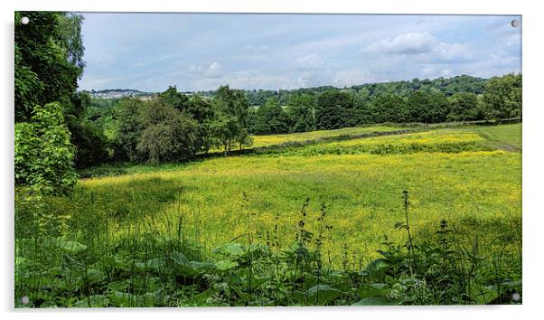  Buttercup Meadows Acrylic by Colin Metcalf