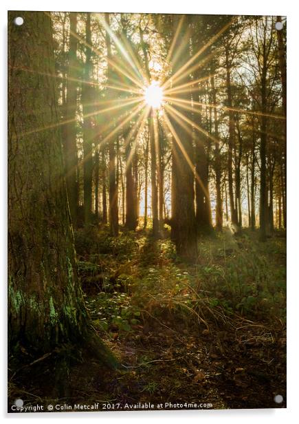 Sun Burst Acrylic by Colin Metcalf