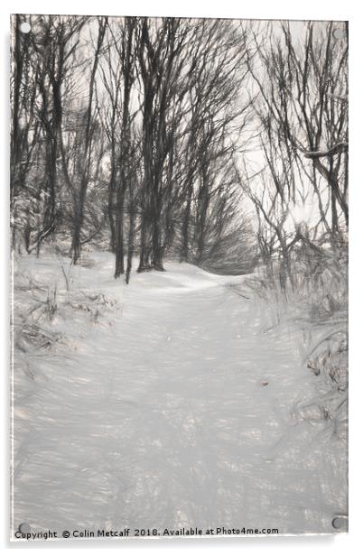 Snowy Walk Acrylic by Colin Metcalf