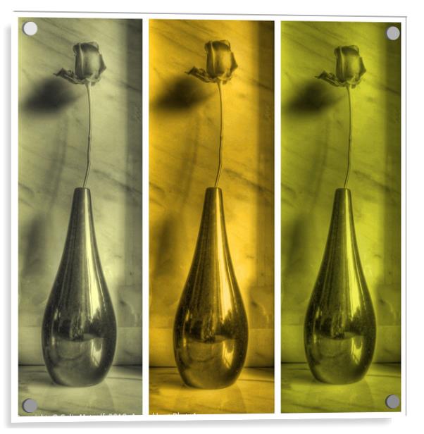 Rose Triptych in Yellow Acrylic by Colin Metcalf