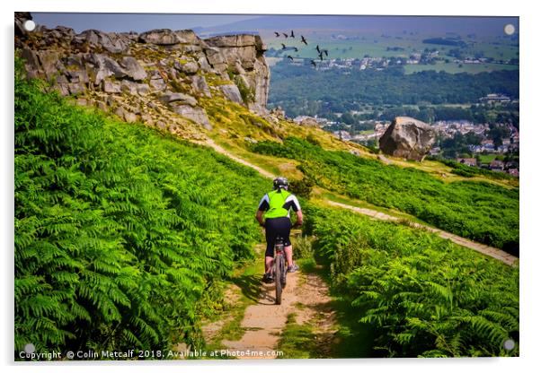 Thrilling Descent: Mountain Biking at Ilkley Moor Acrylic by Colin Metcalf